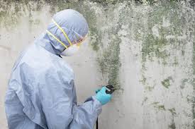 Best Industrial Mold Remediation  in Covington, LA